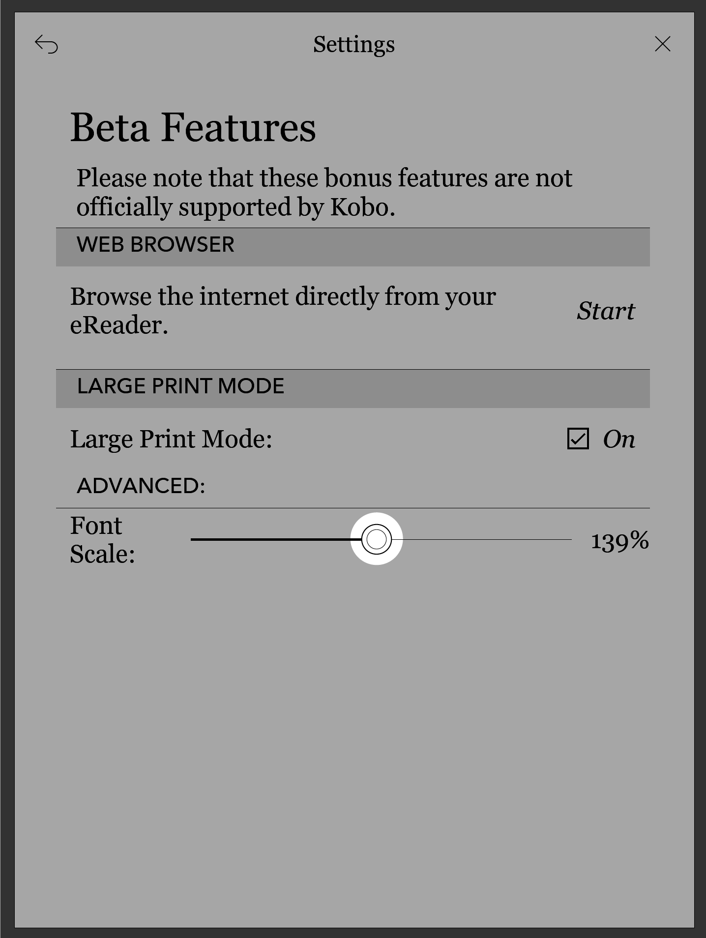 Large Print mode Font scale slider highlighted.
