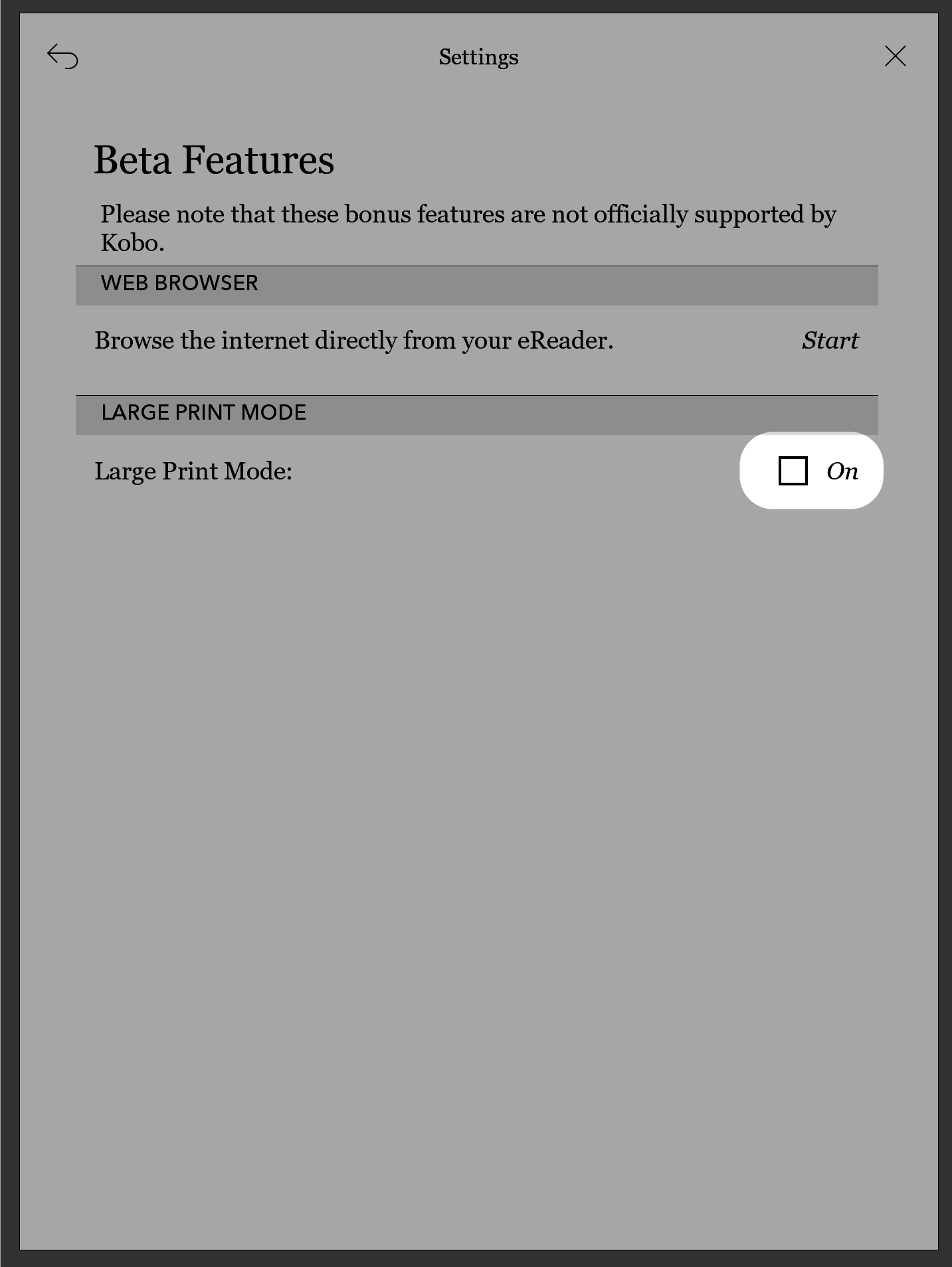 Kobo-läsplatta, inställningsskärm med kryssrutan bredvid Stort text markerad.