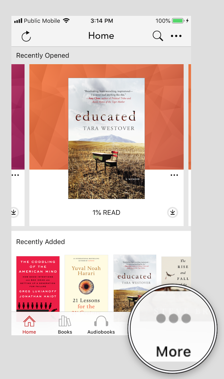 Aplicación Kobo Books con el botón Más resaltado en la parte inferior derecha de la pantalla.
