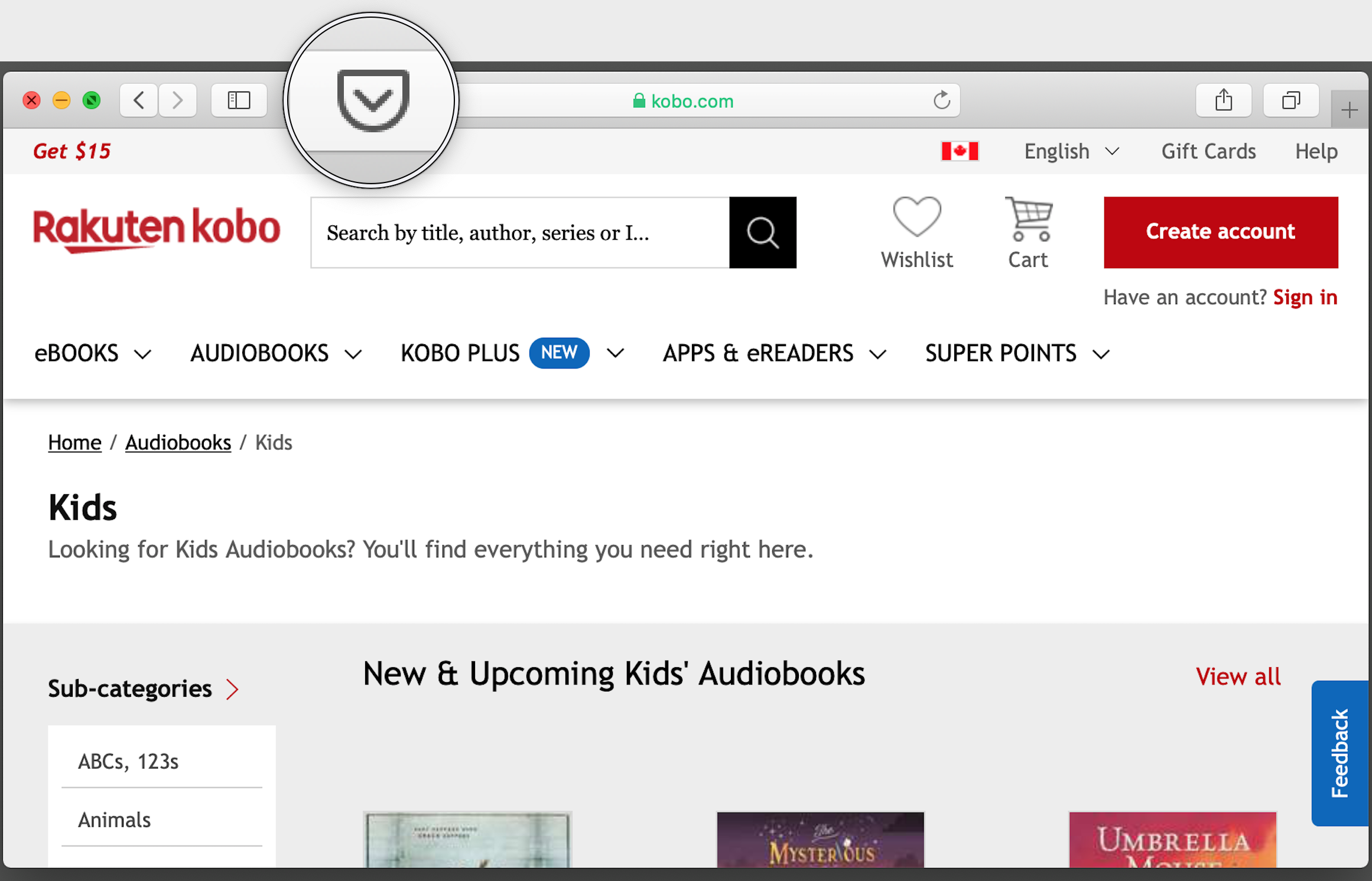 Google Chrome-Browser mit dem Pocket-Symbol, das in der Symbolleiste hervorgehoben ist.