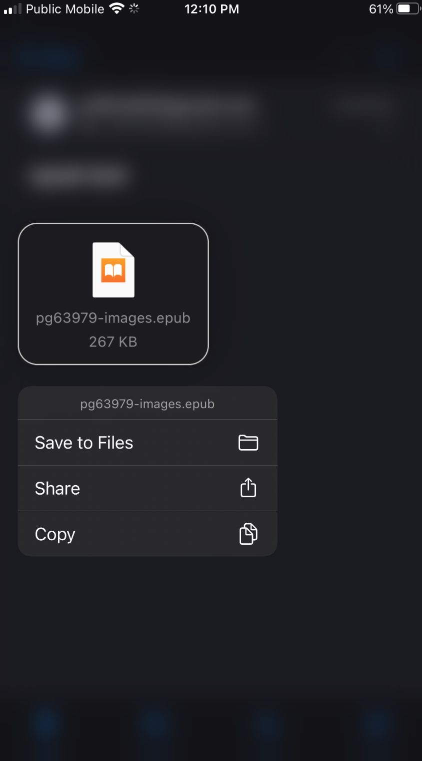Menu iOS che visualizza le seguenti opzioni: Salva su file, Condividi, Copia.