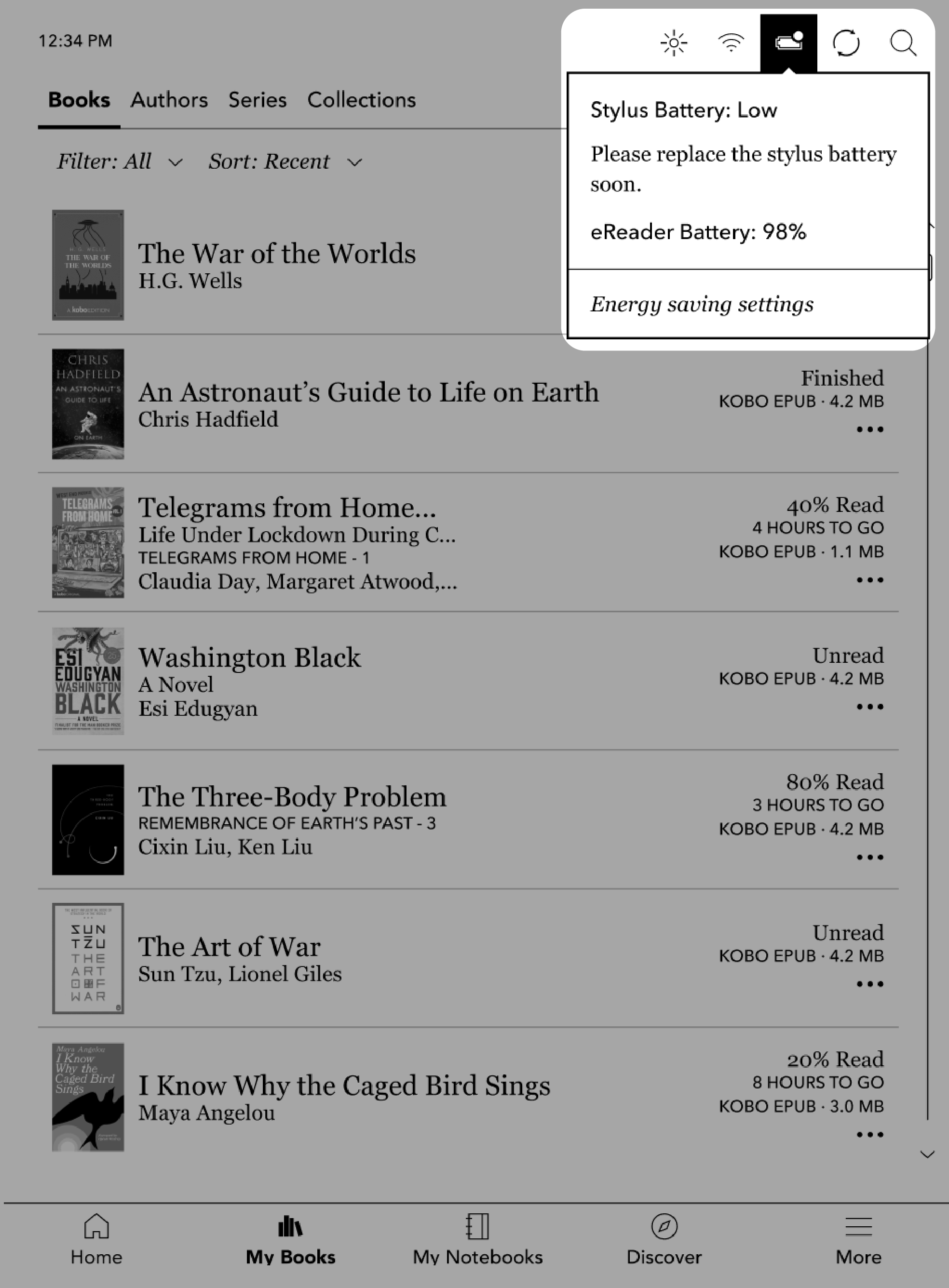 Kobo eReader battery view menu.